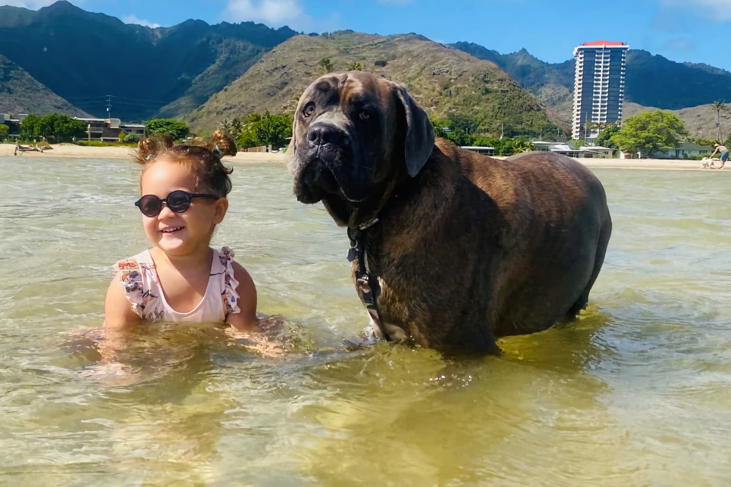 Keānuenue Pediatrics Young girl plays in the ocean with her dog